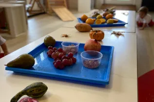 tardor-llar infants sant ignasi jesuites sarrià