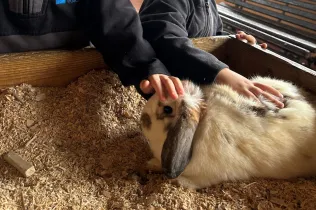 Sortida a la granja escola Can Sala amb MOPI3