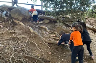 Sortida al bosc de Gualba