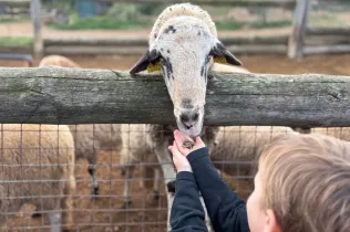 Sortida a la granja escola Can Sala amb MOPI3