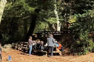 Sortida al bosc de Gualba