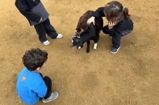 Sortida a la granja escola Can Sala amb MOPI3