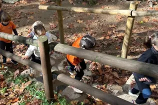 Sortida al bosc de Gualba