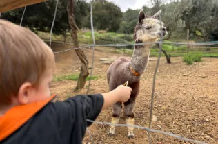 Sortida a la granja escola Can Sala amb MOPI3