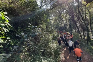 Sortida al bosc de Gualba