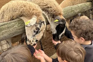 Sortida a la granja escola Can Sala amb MOPI3