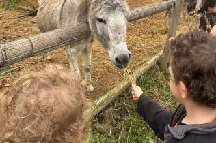 Sortida a la granja escola Can Sala amb MOPI3