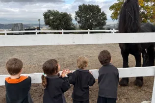 Sortida a la granja escola Can Sala amb MOPI3