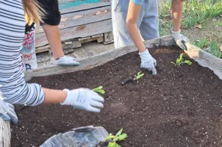 Alumnes de 1r ESO-NEI de Jesuïtes Lleida Col·legi Claver treballont l'hort en el marc de la matèria EcoLab