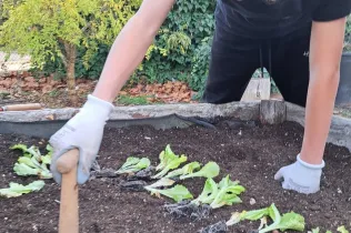 Alumnes de 1r ESO-NEI de Jesuïtes Lleida Col·legi Claver treballont l'hort en el marc de la matèria EcoLab