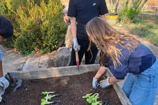 Alumnes de 1r ESO-NEI de Jesuïtes Lleida Col·legi Claver treballont l'hort en el marc de la matèria EcoLab