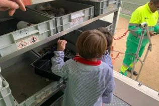 camio punt verd sant ignasi