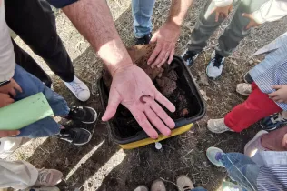 Aula de Natura_mopi_nei_Sant Ignasi-Jesuites sarrià