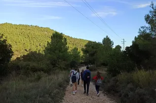 pelegrinatge montserrat-manresa