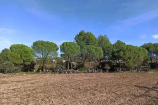 pelegrinatge montserrat-manresa