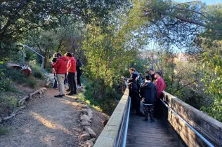 bosc turull dia persones amb discapacitar