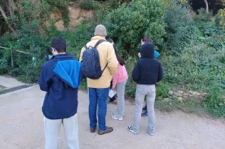 bosc turull dia persones discapacitat