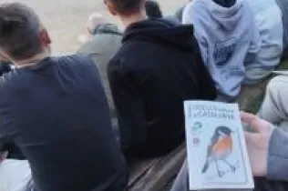 bosc turull dia persones discapacitat