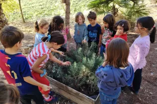 Sessió de bosc de l'alumnat de la PIN (Primària Inicial) en el marc del projecte Claver Natura