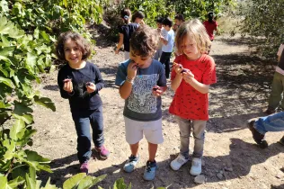 Sessió de bosc de l'alumnat de la PIN (Primària Inicial) en el marc del projecte Claver Natura