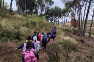 Sessió de bosc de l'alumnat de la PIN (Primària Inicial) en el marc del projecte Claver Natura