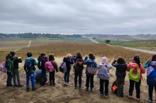 Sessió de bosc de l'alumnat de la PIN (Primària Inicial) en el marc del projecte Claver Natura