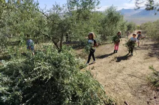 Sessió de bosc de l'alumnat de la PIN (Primària Inicial) en el marc del projecte Claver Natura