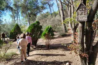 Sessió de bosc de l'alumnat de la PIN (Primària Inicial) en el marc del projecte Claver Natura
