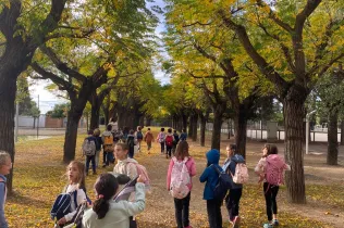 Sessió de bosc de l'alumnat de la PIN (Primària Inicial) en el marc del projecte Claver Natura