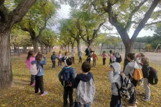 Sessió de bosc de l'alumnat de la PIN (Primària Inicial) en el marc del projecte Claver Natura