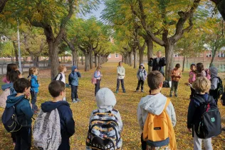 Sessió de bosc de l'alumnat de la PIN (Primària Inicial) en el marc del projecte Claver Natura