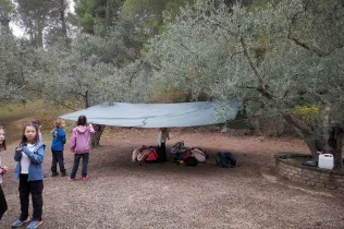 Sessió de bosc de l'alumnat de la PIN (Primària Inicial) en el marc del projecte Claver Natura
