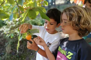 Sessió de bosc de l'alumnat de la PIN (Primària Inicial) en el marc del projecte Claver Natura