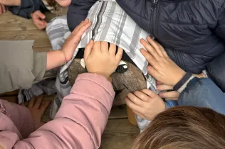 nadal 25 sant ignasi jesuites sarria 