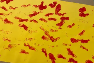 Expressem I3 Sant Ignasi Jesuïtes Sarrià Infantil