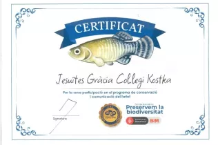 Certificat FARTET 24
