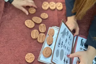 Docents d'infantil i primària al bosc de l'escola en sessions de modelatge d'escola de bosc amb Maria Castella en el marc del projecte Claver Natura