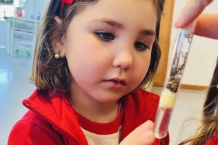 vist i no vist infanti sant ignasi jesuïtes sarrià