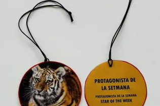 protagonista de la setmana - sant ignasi - infantil