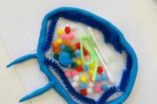 vist i no vist infanti sant ignasi jesuïtes sarrià