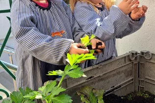 La collita a la Llar