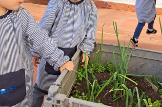 La collita a la Llar