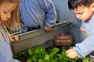 La collita a la Llar