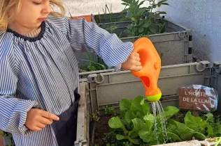 La collita a la Llar