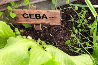 La collita a la Llar