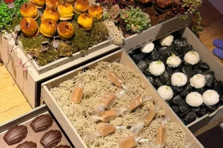 Armonia-DireccioCuina-FP-SantIgnasi