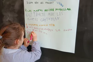 Node creixem. Investigació