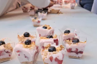 CREA SANT IGNASI 2026 PRIMARIA