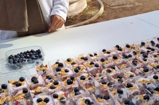 CREA SANT IGNASI 2026 PRIMARIA