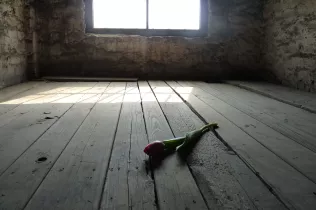 Auschwitz-Batxillerat-SantIgnasi-JesuïtesSarrià